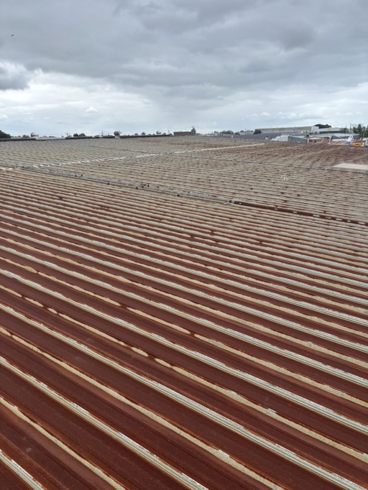 Roof Reports